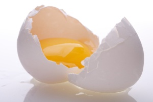 egg[1]